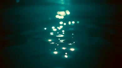 Photo of Shallow. Звезда родилась. Фильм