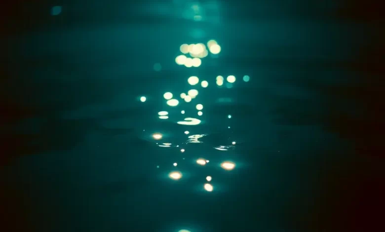 Shallow. Звезда родилась. Фильм